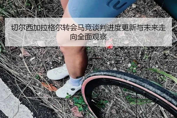 切尔西加拉格尔转会马竞谈判进度更新与未来走向全面观察