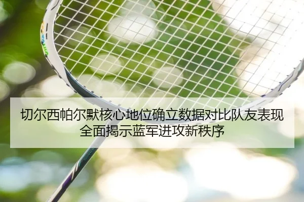 切尔西帕尔默核心地位确立数据对比队友表现全面揭示蓝军进攻新秩序