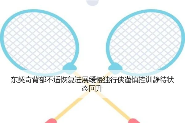 东契奇背部不适恢复进展缓慢独行侠谨慎控训静待状态回升
