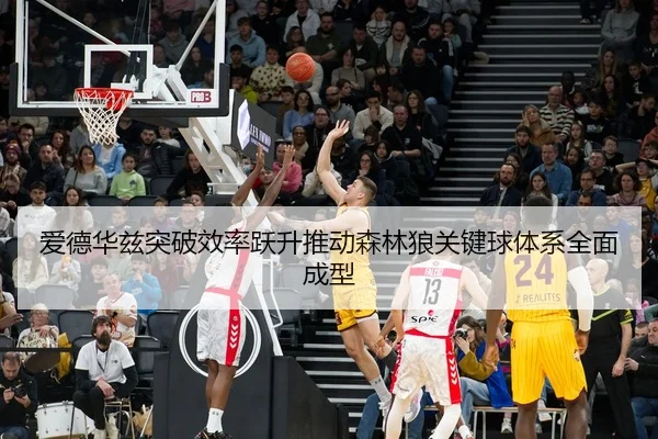 爱德华兹突破效率跃升推动森林狼关键球体系全面成型