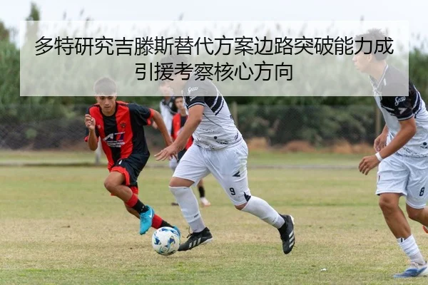 img_1784031055161_699_1_732.jpg